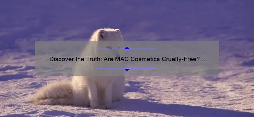 Discover the Truth: Are MAC Cosmetics Cruelty-Free? [A Personal Story, Statistics, and Useful Information for Animal-Loving Beauty Enthusiasts]