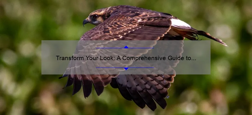 Transform Your Look: A Comprehensive Guide to Cosmetic Surgery in South Florida [Real Patient Stories, Expert Tips, and Stats]